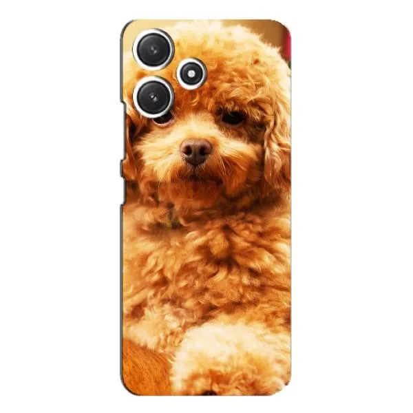 Чехол с принтом «Щенок Бишон» для Xiaomi POCO M6