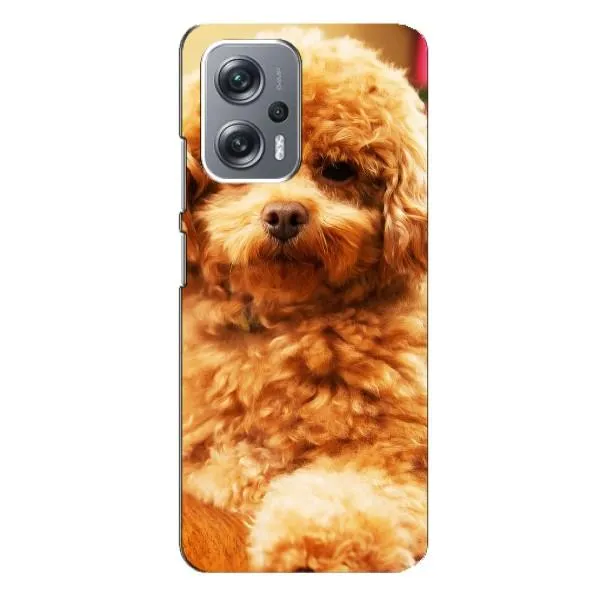 Чехол с принтом «Щенок Бишон» для Xiaomi Redmi Note 12 Pro (5g)