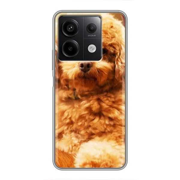 Чехол с принтом «Щенок Бишон» для Xiaomi Redmi Note 13 (5G) Чехол с принтом «Щенок Бишон» для Xiaomi Redmi Note 13 (5G)