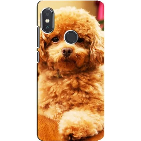 Чохол з принтом «Цуценя Бішон» для Xiaomi Redmi Note 5