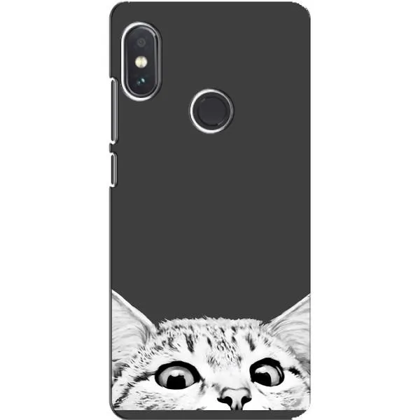 Чохол з принтом «Виглядає котик» для Xiaomi Redmi Note 5