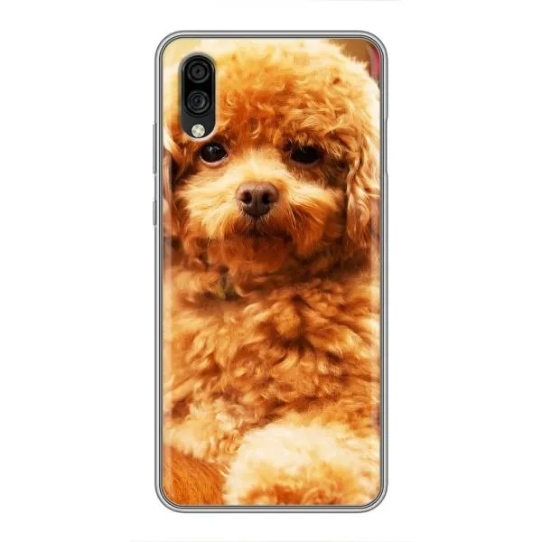 Чехол с принтом «Щенок Бишон» для ZTE Blade A5 (2020)
