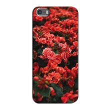 Чехлы с Цветами для iPhone 5 / 5s / SE (VPrint) Цветы красные - купить на Floy.com.ua