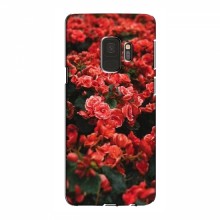 Чехлы с Цветами для Samsung S9 (VPrint) Цветы красные - купить на Floy.com.ua