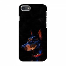 Чехлы с картинками животных iPhone 8 Собака - купить на Floy.com.ua