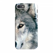 Чехлы с картинками животных iPhone 8 Волк - купить на Floy.com.ua