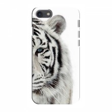 Чехлы с картинками животных iPhone 8 Белый Тигр - купить на Floy.com.ua