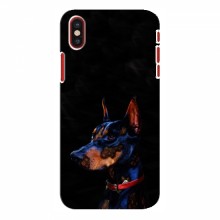 Чехлы с картинками животных iPhone X Собака - купить на Floy.com.ua