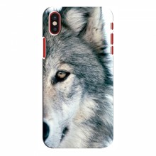Чехлы с картинками животных iPhone X Волк - купить на Floy.com.ua