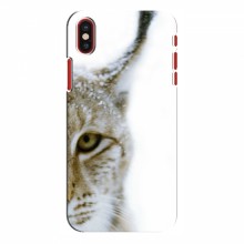 Чехлы с картинками животных iPhone X Рысь - купить на Floy.com.ua