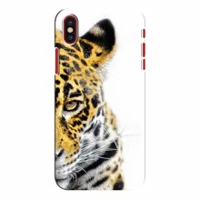 Чехлы с картинками животных iPhone X Леопард - купить на Floy.com.ua