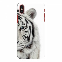 Чехлы с картинками животных iPhone X Белый Тигр - купить на Floy.com.ua