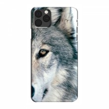 Чехлы с картинками животных iPhone 12 Pro Волк - купить на Floy.com.ua