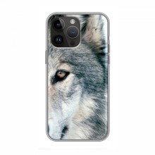 Чехлы с картинками животных iPhone 14 Pro Волк - купить на Floy.com.ua