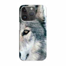 Чехлы с картинками животных iPhone 14 Pro Max Волк - купить на Floy.com.ua