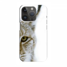 Чехлы с картинками животных iPhone 15 Pro Рысь - купить на Floy.com.ua