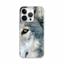 Чехлы с картинками животных iPhone 16 Pro Волк - купить на Floy.com.ua