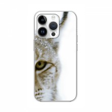 Чехлы с картинками животных iPhone 16 Pro Рысь - купить на Floy.com.ua