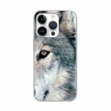 Чехлы с картинками животных iPhone 16 Pro Max Волк - купить на Floy.com.ua