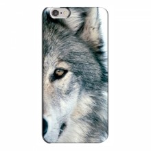 Чехлы с картинками животных iPhone 6 Plus / 6s Plus Волк - купить на Floy.com.ua