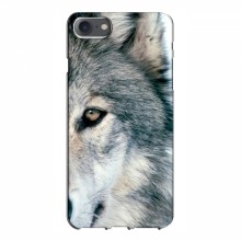 Чехлы с картинками животных iPhone 7 Волк - купить на Floy.com.ua