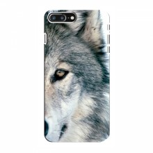 Чехлы с картинками животных iPhone 8 Plus Волк - купить на Floy.com.ua