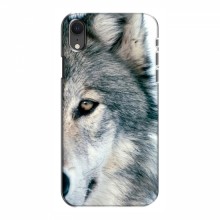 Чехлы с картинками животных iPhone Xr Волк - купить на Floy.com.ua