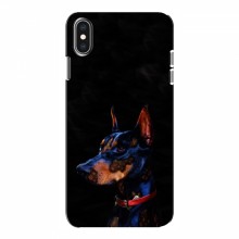 Чехлы с картинками животных iPhone Xs Собака - купить на Floy.com.ua