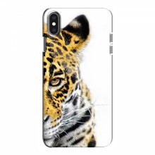 Чехлы с картинками животных iPhone Xs Леопард - купить на Floy.com.ua