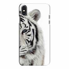 Чехлы с картинками животных iPhone Xs Белый Тигр - купить на Floy.com.ua