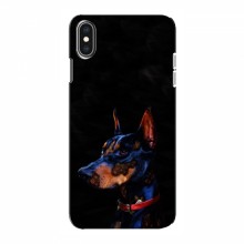 Чехлы с картинками животных iPhone Xs Max Собака - купить на Floy.com.ua