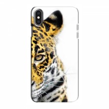 Чехлы с картинками животных iPhone Xs Max Леопард - купить на Floy.com.ua