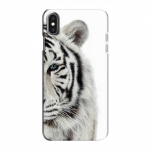 Чехлы с картинками животных iPhone Xs Max Белый Тигр - купить на Floy.com.ua