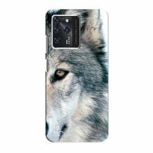 Чехлы с картинками животных Google Pixel 2 XL Волк - купить на Floy.com.ua