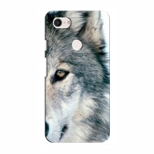 Чехлы с картинками животных Google Pixel 3 XL Волк - купить на Floy.com.ua