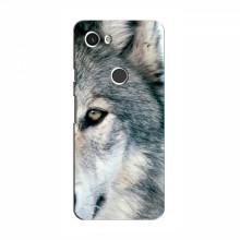 Чехлы с картинками животных Google Pixel 3a XL Волк - купить на Floy.com.ua