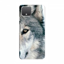 Чехлы с картинками животных Google Pixel 4 Волк - купить на Floy.com.ua