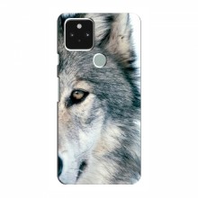 Чехлы с картинками животных Google Pixel 4a 5G Волк - купить на Floy.com.ua