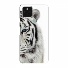 Чехлы с картинками животных Google Pixel 5 Белый Тигр - купить на Floy.com.ua