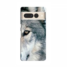 Чехлы с картинками животных Google Pixel 7 Pro Волк - купить на Floy.com.ua