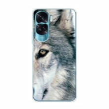 Чехлы с картинками животных Huawei Honor 90 Lite Волк - купить на Floy.com.ua