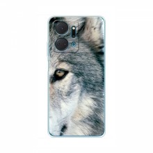 Чехлы с картинками животных Huawei Honor X7a Волк - купить на Floy.com.ua