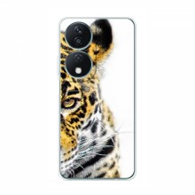 Чехлы с картинками животных Huawei Honor X7b Леопард - купить на Floy.com.ua
