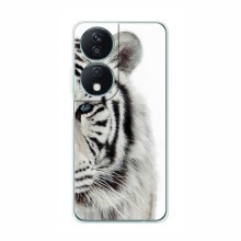 Чехлы с картинками животных Huawei Honor X7b Белый Тигр - купить на Floy.com.ua