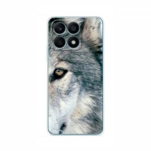 Чехлы с картинками животных Huawei Honor X8a Волк - купить на Floy.com.ua