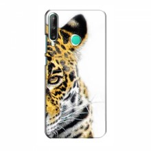 Чехлы с картинками животных Huawei Y7p (2020) Леопард - купить на Floy.com.ua