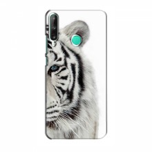 Чехлы с картинками животных Huawei Y7p (2020) Белый Тигр - купить на Floy.com.ua