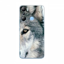 Чехлы с картинками животных Infinix HOT 20i (X665E) Волк - купить на Floy.com.ua