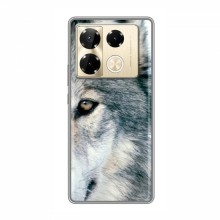 Чехлы с картинками животных Infinix Note 40 Pro Волк - купить на Floy.com.ua