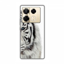 Чехлы с картинками животных Infinix Note 40 Pro Белый Тигр - купить на Floy.com.ua